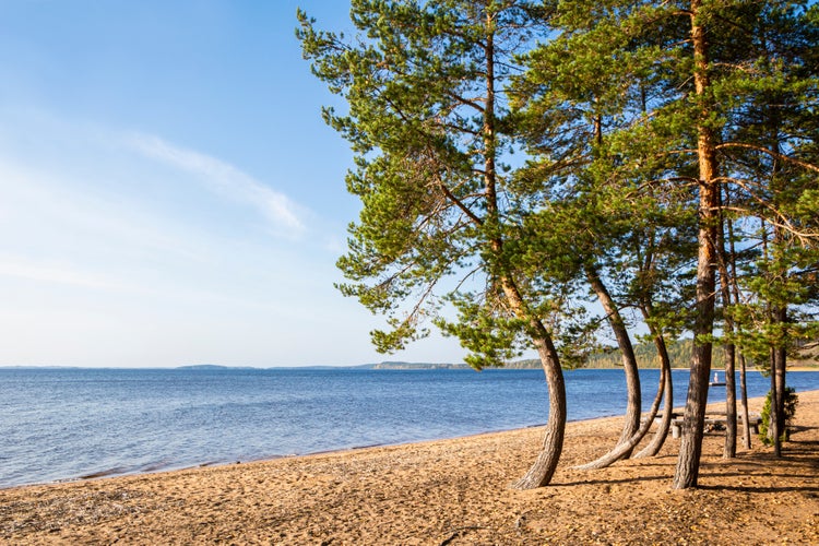 photo of view of View to The Lake Saimaa and sandy shore, Huuhanranta beach, Ruokolahti, South Karelia, Finland.