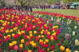 From Amsterdam: Keukenhof and Zaanse Schans Small Group Tour