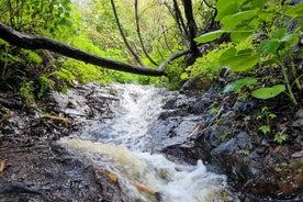 Полный день пеших прогулок и водопадов