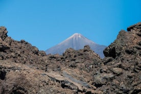 Expérience complète du parc national du Teide avec un guide professionnel