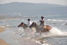 Passeios a cavalo saindo do porto de Kusadasi / Hotéis