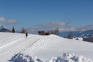 Photo of Suspension Bridge of Dachstein Skywalk viewpoint in Austria, with people, in Ramsau am Dachstein.