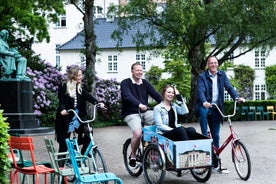 Bicycle Rental Copenhagen City Center 