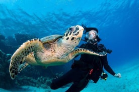 Alanya Scuba Diving with Two Dives, Lunch and Transfer