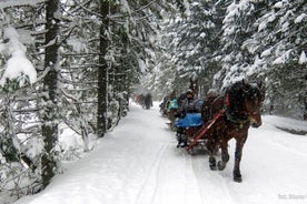 Sleigh Ride and bonfire in Chocholowska Valley From Krakow