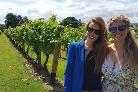 English Wine Tour to Sussex from London