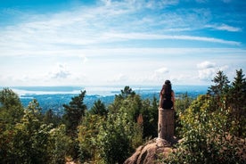 Sesión de fotos privada en Oslo con vistas al fiordo y serenidad junto al lago