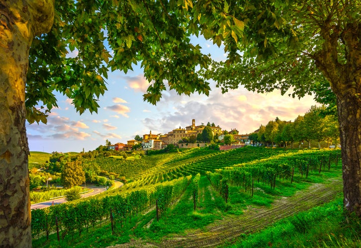 photo of Neive village, Langhe vineyards and trees as a frame. Unesco Site, Cuneo, Piedmont, Northern Italy Europe.