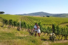 Brunello Vineyards Bustour