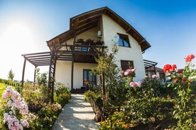 Bucovina Luxury Apartment