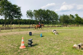 Corso di equitazione per tutti i livelli 1/2 giornata (3 ore)