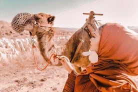 キャメル サファリとバルーン ライドを含む 2 日間のカッパドキア旅行