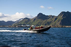 RIB 海鹰野生动物园 Trollfjord 巡游