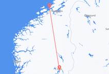 Flyreiser fra Ørland, Norge til Oslo, Norge