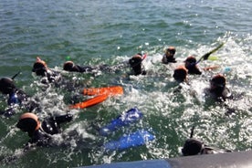 Snorkeling in Albufeira