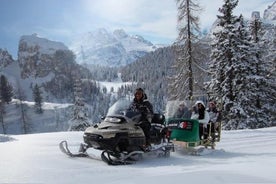 Bolzanosta - moottorikelkka + kelkkailu ja The Great Dolomites Roadin yksityinen kiertue