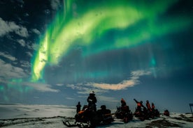 From Alta: Northern Lights Night Adventure By Snowmobile