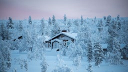 Rútuferðir í Saariselkä, Finnlandi