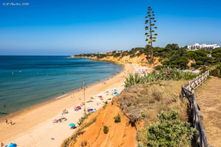 Photo of wide sandy beach in white city of Albufeira, Algarve, Portugal.