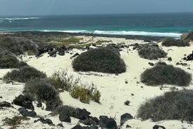 ランサローテ島：プライベートアイランドグランドツアー