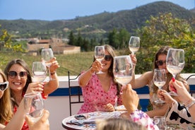 Small-Group Wine Tour & Silves Exploration (from Albufeira)