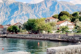 Podgorica: Kotor Bay, Budva, Sv Stefan, & Skadar Lake Tour