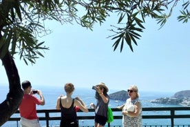 Ischia Private Day Stress Free Tour From Sorrento