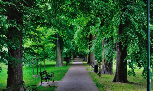 Park im. Tadeusza Kościuszki w Krakowie na Prądniku Białym. Ogólny widok, aleja w parku, widok na wschód.