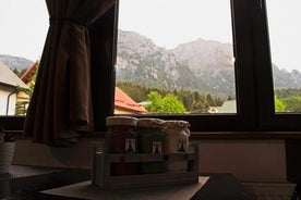 Apartament Mountain Life