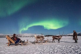 キャンプの夕食とノーザンライツのチャンスで夜のトナカイのそり