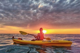 3 heures d'excursions guidées au lever et au coucher du soleil au Conero en canoë