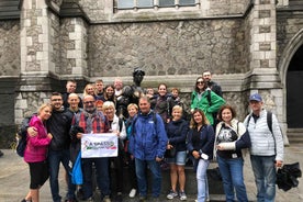 Dublin Highlights: 2.45-Hour Walking Tour in Italian