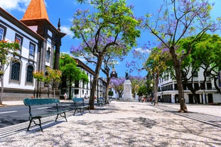 Câmara de Lobos - city in Portugal