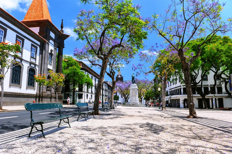 Photo of Funchal cityscape with main street at sunny summer day, Portugal.