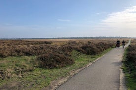 Lítil hópferð til NP Hoge Veluwe (van Gogh) frá Amsterdam