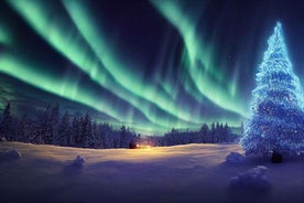 Finland: Northern Lights Car Tour with Bonfire and Snacks