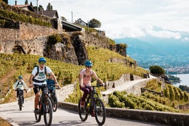 Tour en bicicleta eléctrica por los viñedos de Lavaux - Bikapa