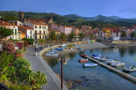 Photo of the Canal and Castle of Perpignan in springtime, Pyrenees-Orientales, France.