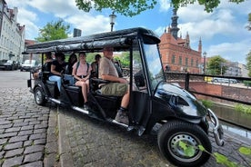 GDANSK: Live Guide City Tour per golfkar en Eco Sightseeing