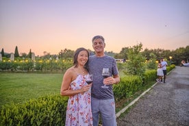 Excursión con puesta de sol en Siena y vino Chianti con cena desde Florencia