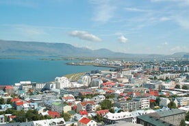 Tour in elicottero da Reykjavik: Hengill Area con atterraggio in loco