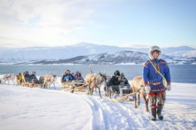 Hreindýrasleðaupplifun og samísk menningarferð frá Tromsö