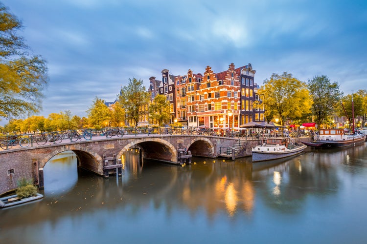 shutterstock_2506155981.jpg
