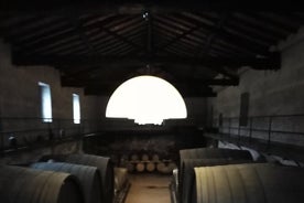 Private Etna tour with wine tasting and lunch