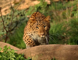 Plzeň Zoo