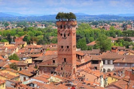 Firenze og Lucca utflukt fra Livorno havn