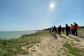 Normandie Amerikanske og britiske DDay Beaches Halvdagstur fra Bayeux