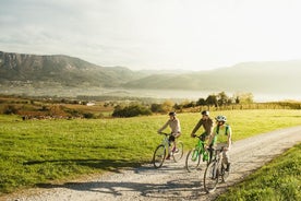 Sykkel og vin i Vipava-dalen