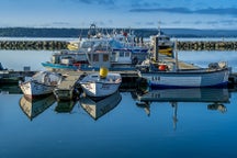 Poole sailing tours