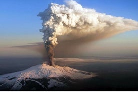 タオルミーナとエトナ山へのプライベート 1 日ツアー 